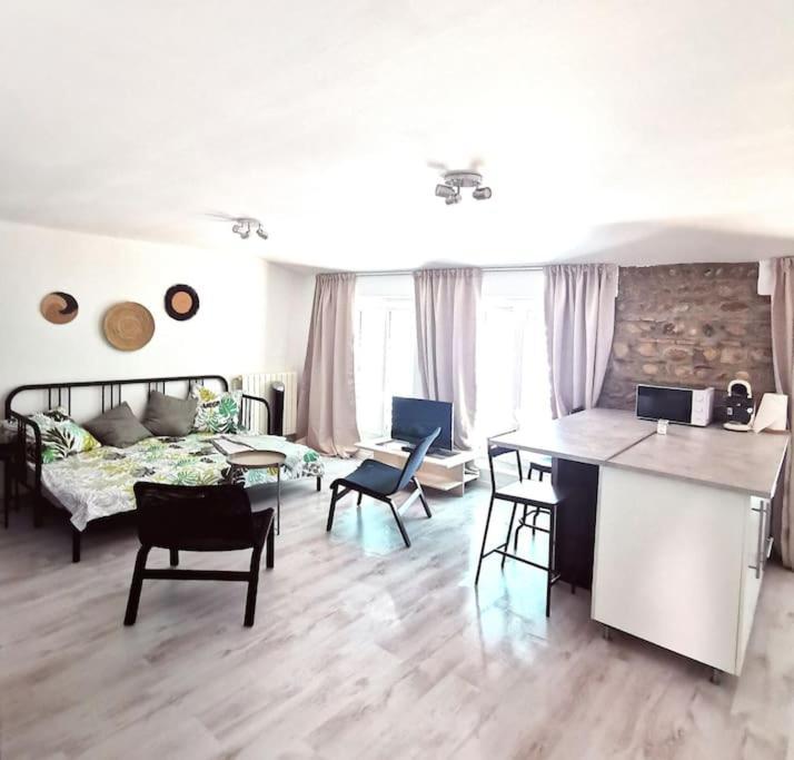 Studio Coquet Avec Vue Сент-Фуа-ле-Ліон Екстер'єр фото